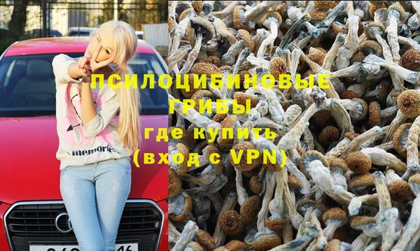 Альфа ПВП Армянск